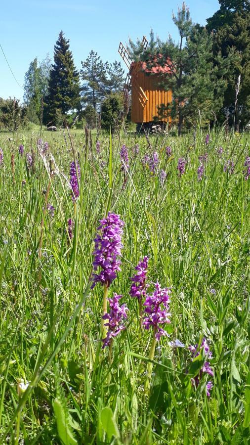 Sihi Country House Hiievalja Exterior photo